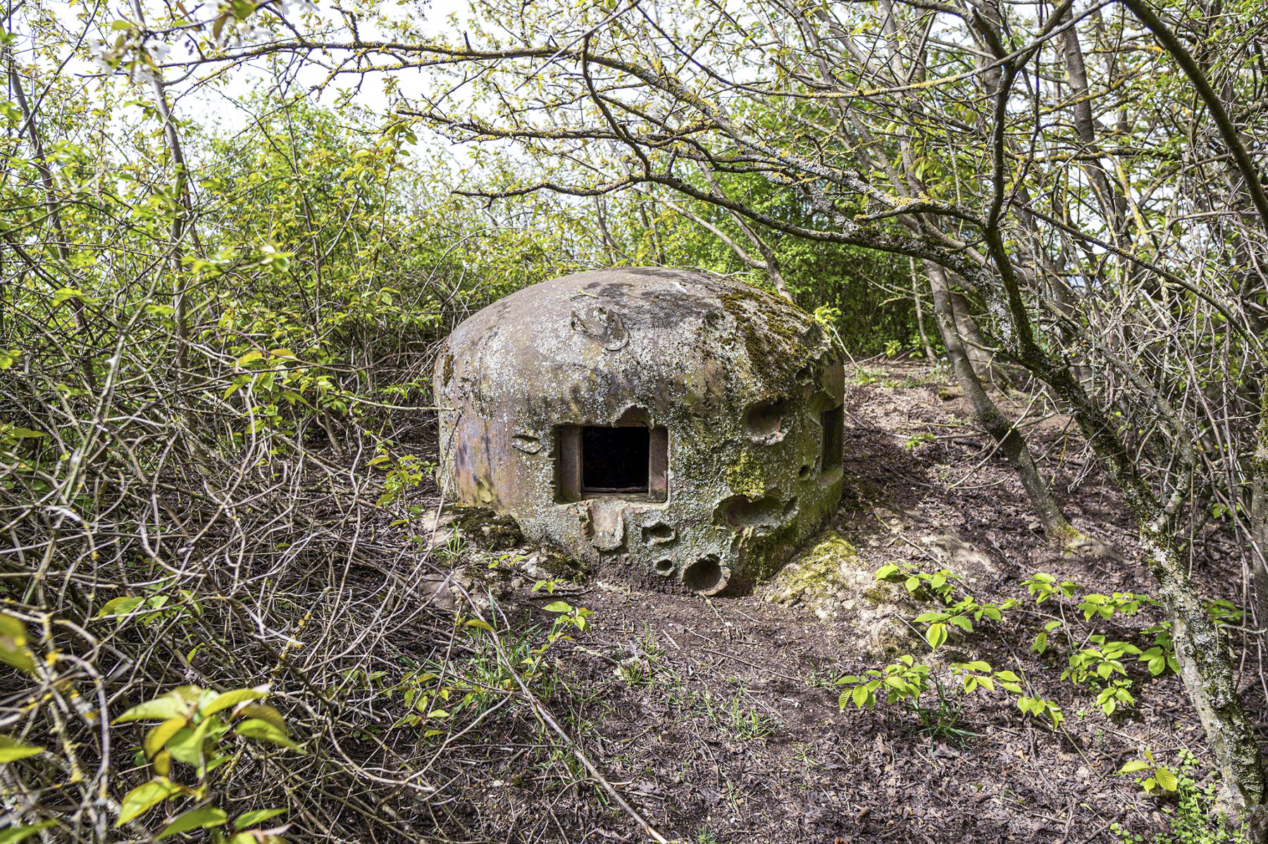 Ligne Maginot - OBERROEDERN NORD - (Casemate d'infanterie - Double) - La cloche GFM Sud Est labourée par les tirs de PAK allemand et sur laquelle ces derniers se sont moins acharnés. - David Palmer