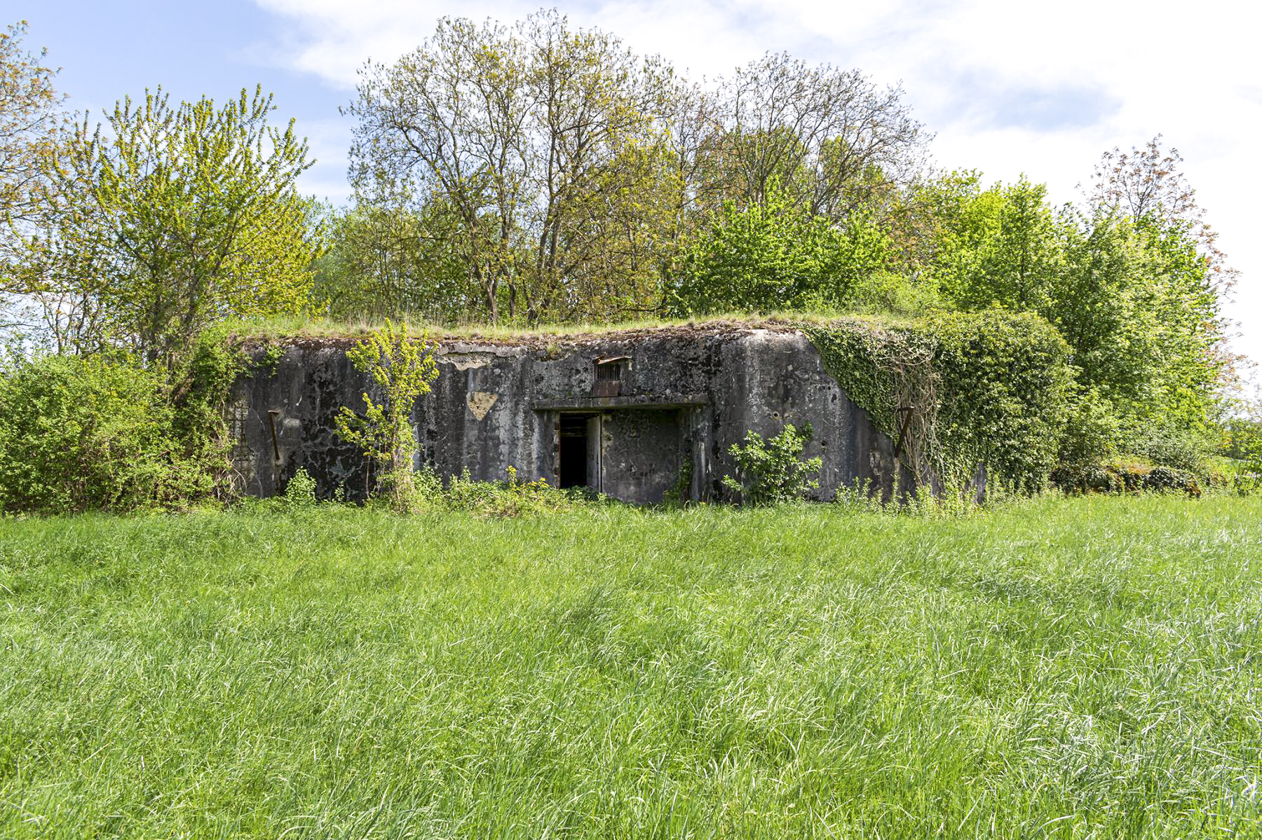 Ligne Maginot - 31/3 - SAASENHEIM - (Casemate d'infanterie - Double) -  - David Palmer
