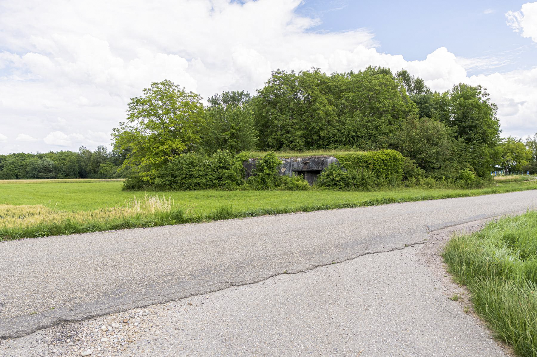 Ligne Maginot - 31/3 - SAASENHEIM - (Casemate d'infanterie - Double) -  - David Palmer