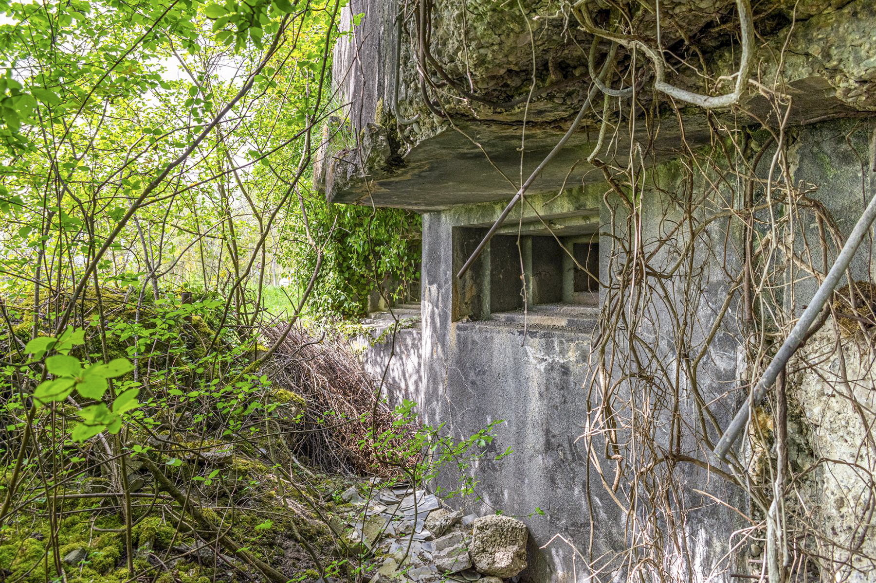 Ligne Maginot - 31/3 - SAASENHEIM - (Casemate d'infanterie - Double) - L'extérieur de la façade nord avec ces 2 créneaux pour jumelage de mitrailleuse et canon de 47 mm - David Palmer