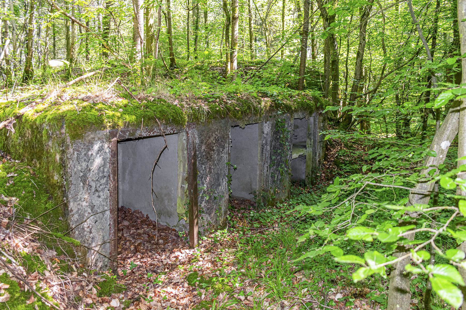 Ligne Maginot - DRACHENBRONN SUD EST - (Casemate d'infanterie - Simple) - Niche pour mines - David Palmer