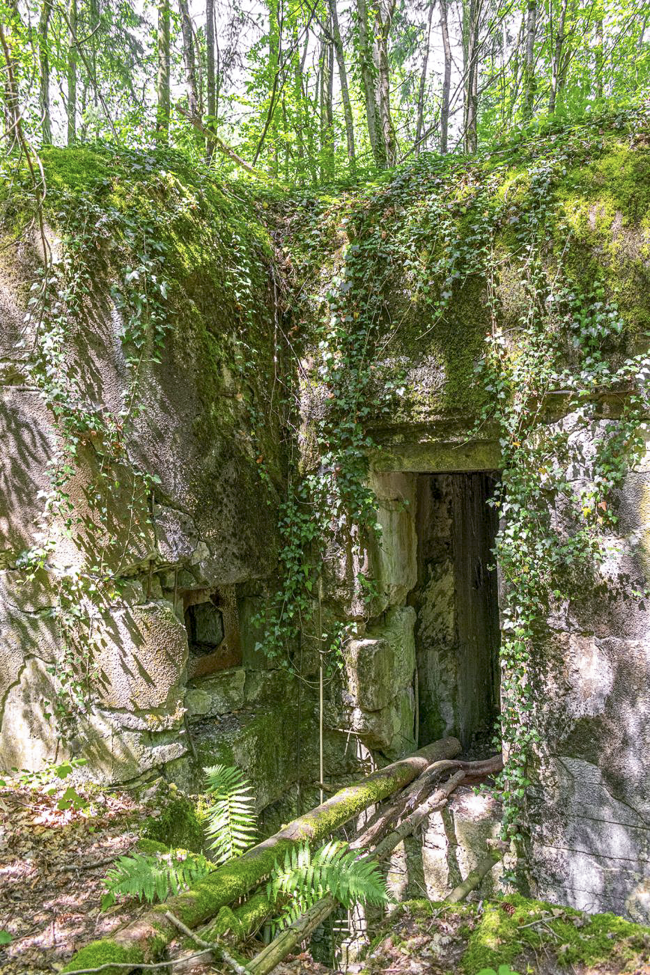 Ligne Maginot - DRACHENBRONN SUD EST - (Casemate d'infanterie - Simple) - Entrée
 - David Palmer