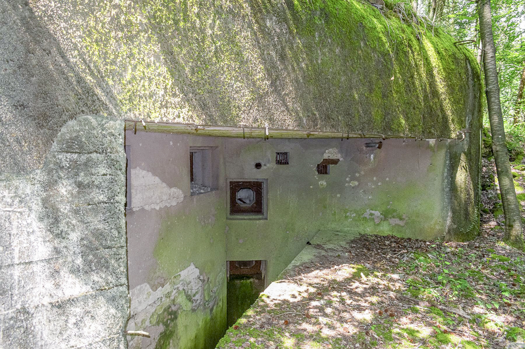 Ligne Maginot - DRACHENBRONN SUD EST - (Casemate d'infanterie - Simple) - Chambre de tir - David Palmer