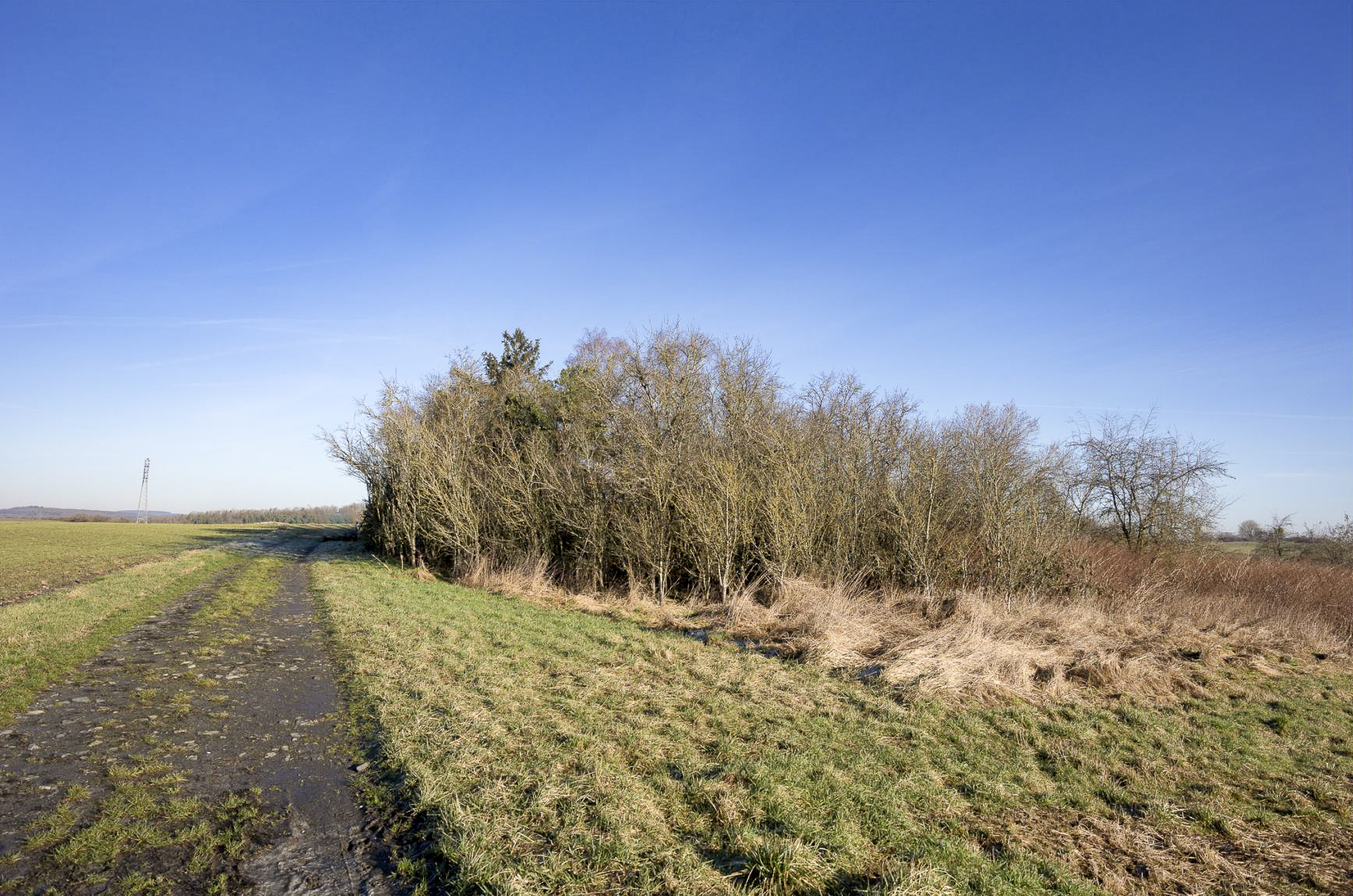 Ligne Maginot - LUTERSBERG - (Dépôt de Munitions) - Le dépôt est envahi par les buissons. - Lenhard Christian