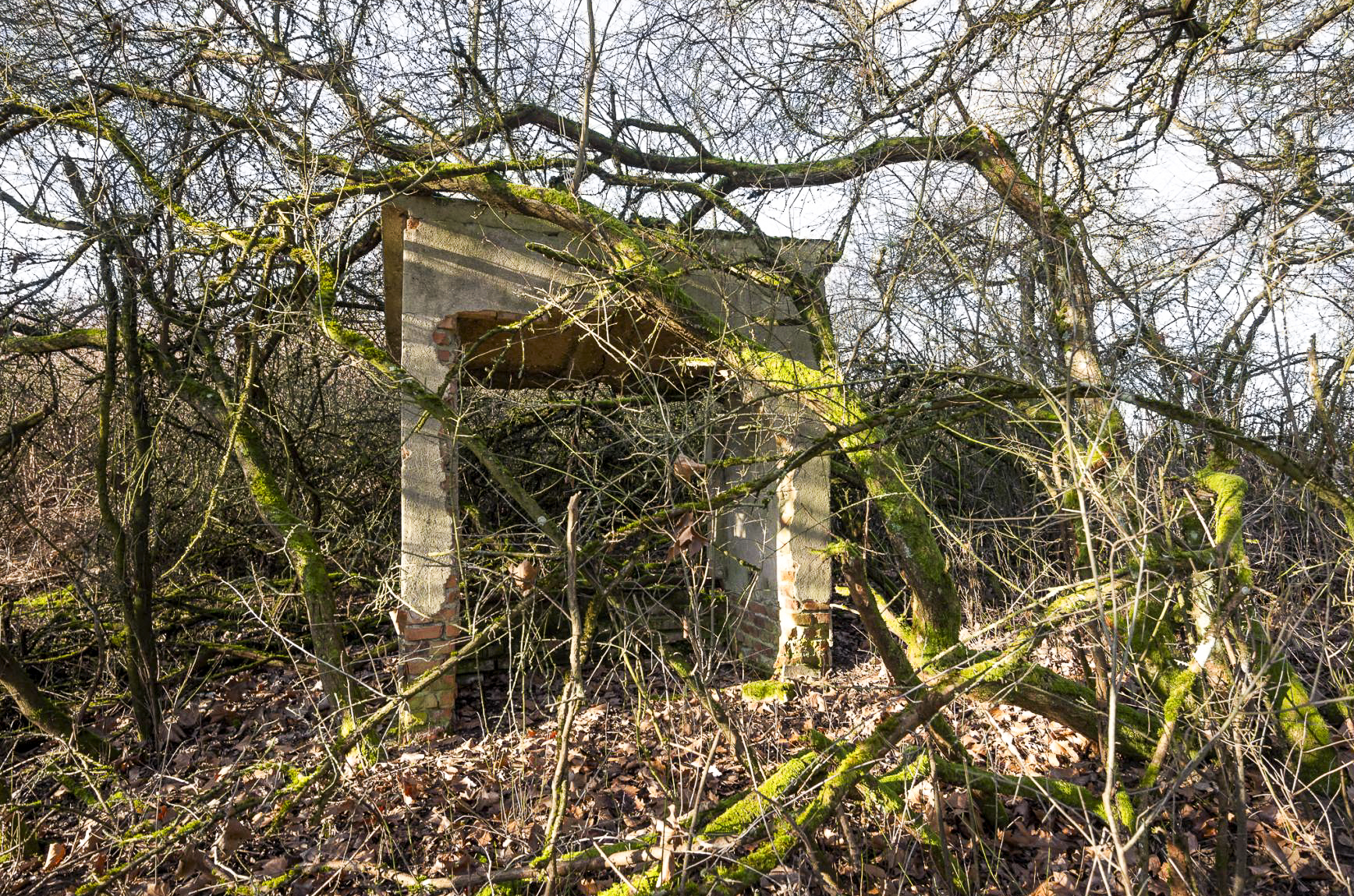 Ligne Maginot - LUTERSBERG - (Dépôt de Munitions) - Les restes d'un bâtiment   - Lenhard Christian