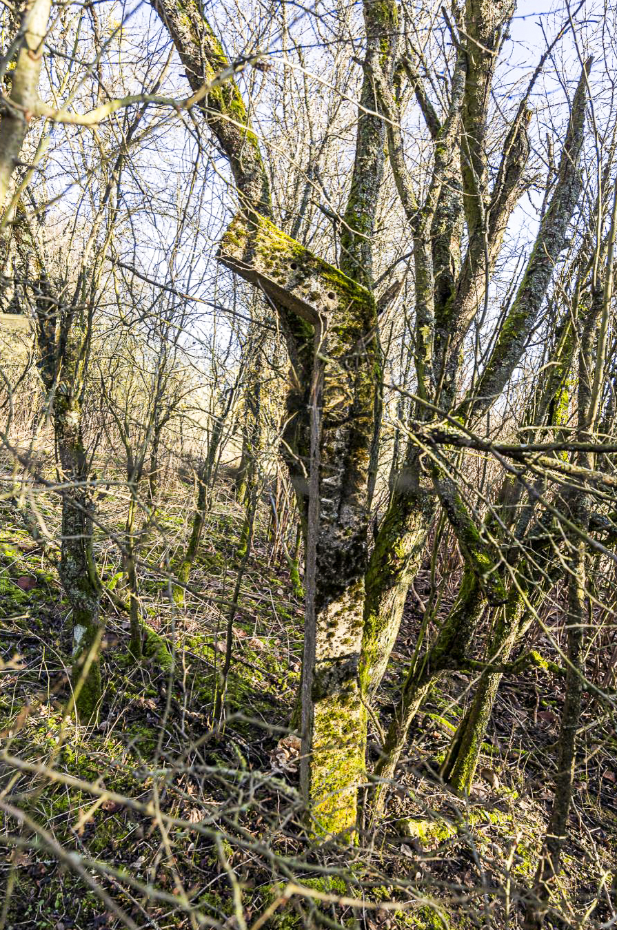 Ligne Maginot - LUTERSBERG - (Dépôt de Munitions) - Un poteau en béton pour clôture. - Lenhard Christian