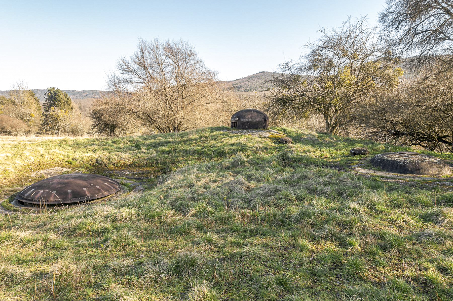 Ligne Maginot - FOUR A CHAUX - FAC - (Ouvrage d'artillerie) - Bloc 3
Vue d'ensemble - David Palmer