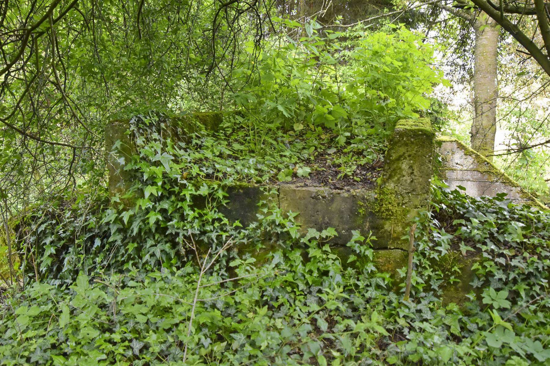 Ligne Maginot - VF60 - ANTENNE DE L'OUVRAGE DE SCHOENENBOURG - (RESEAU - Voie 60 - Antenne ou rocade ferroviaire) - 22 - PONT sur le BIRLENBAECHEL
Le tablier vu du sud.