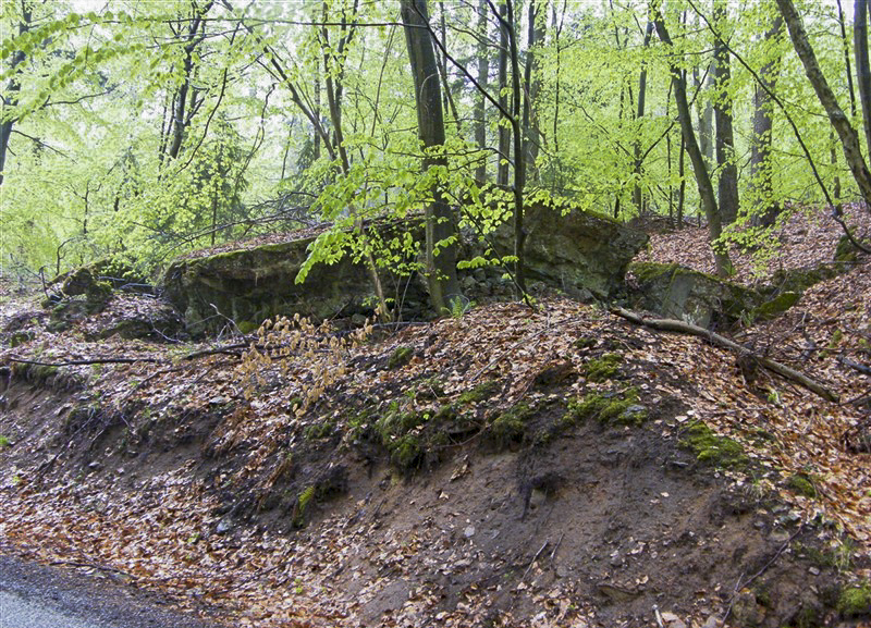 Ligne Maginot - B20-A HINTERWALD OUEST - (Blockhaus pour canon) -  - Jean-Louis AUBLET & Sylvie MAINGUIN