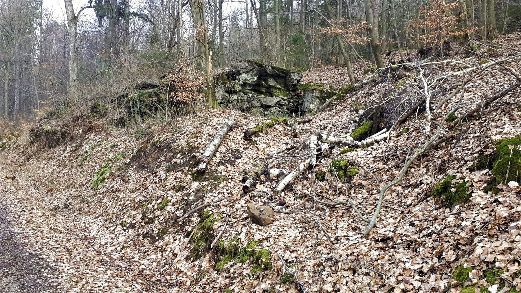 Ligne Maginot - B20-A HINTERWALD OUEST - (Blockhaus pour canon) - La partie arrière vue depuis la route - Gregory Fuchs