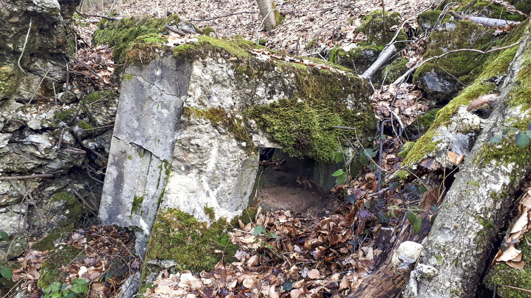 Ligne Maginot - B20-A HINTERWALD OUEST - (Blockhaus pour canon) - Le seul créneau visible - Gregory Fuchs