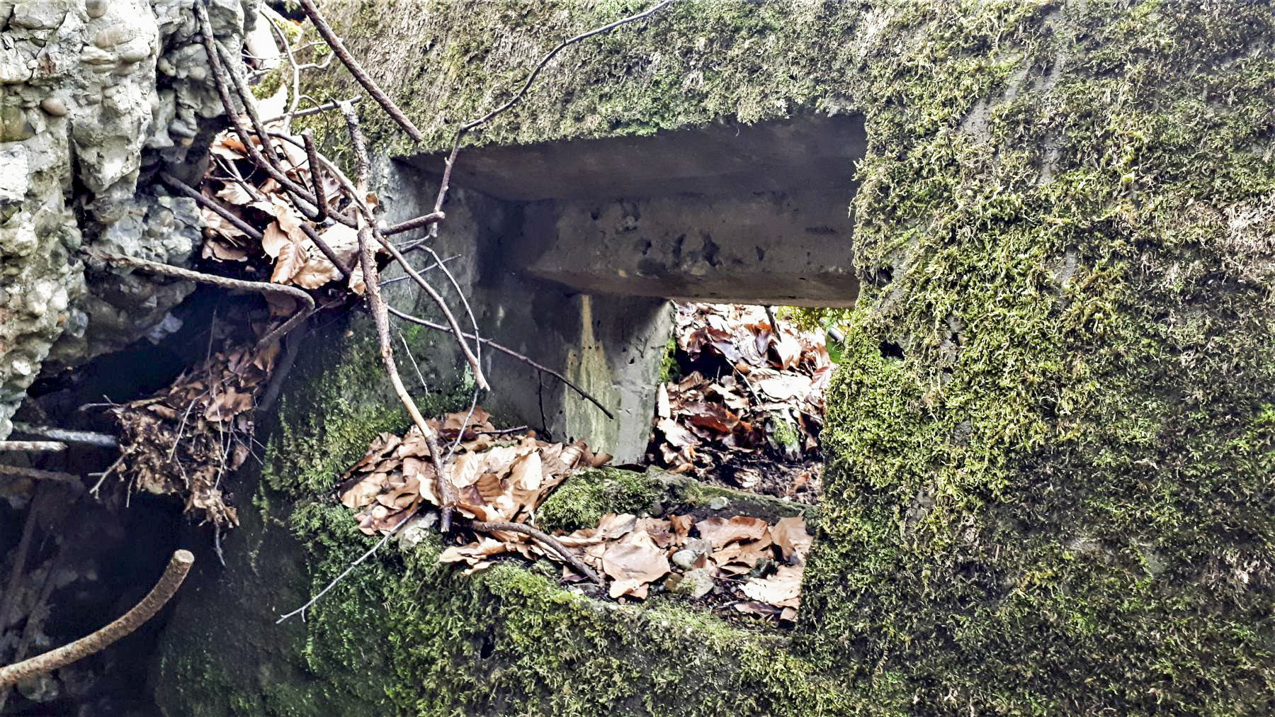 Ligne Maginot - B20-A HINTERWALD OUEST - (Blockhaus pour canon) - Le seul créneau visible - Gregory Fuchs