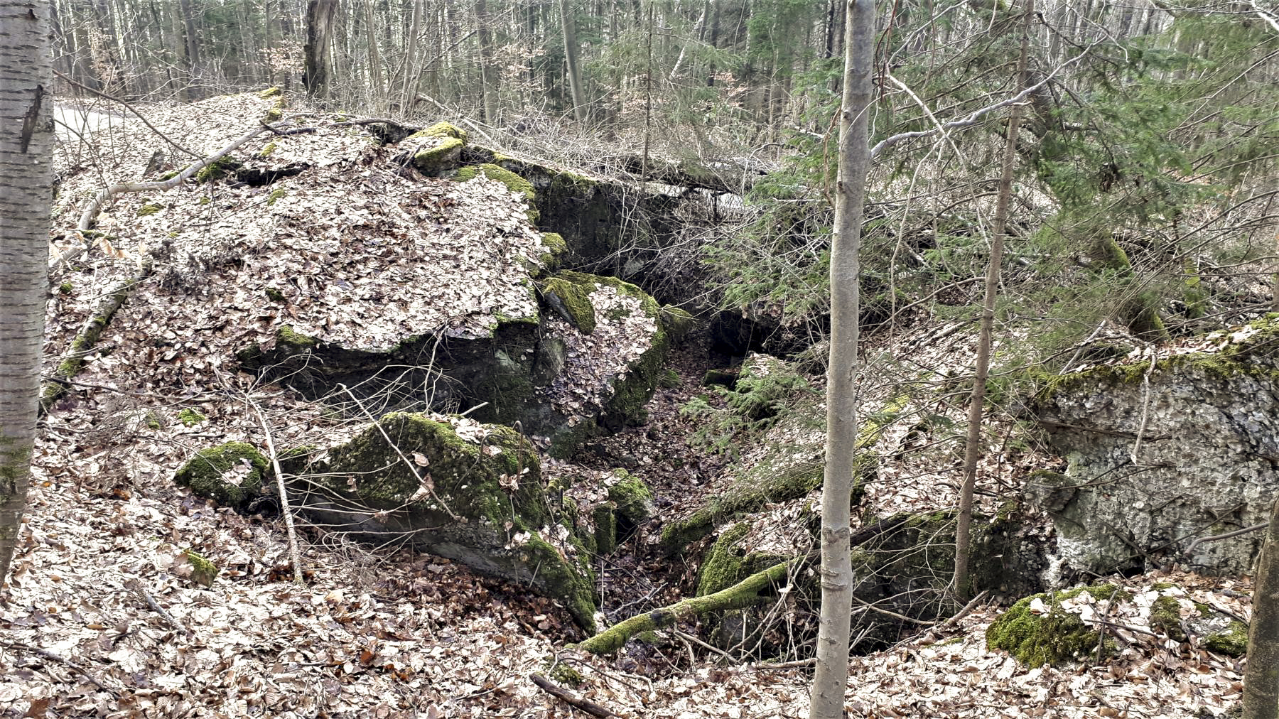 Ligne Maginot - B20-A HINTERWALD OUEST - (Blockhaus pour canon) -  - Gregory Fuchs