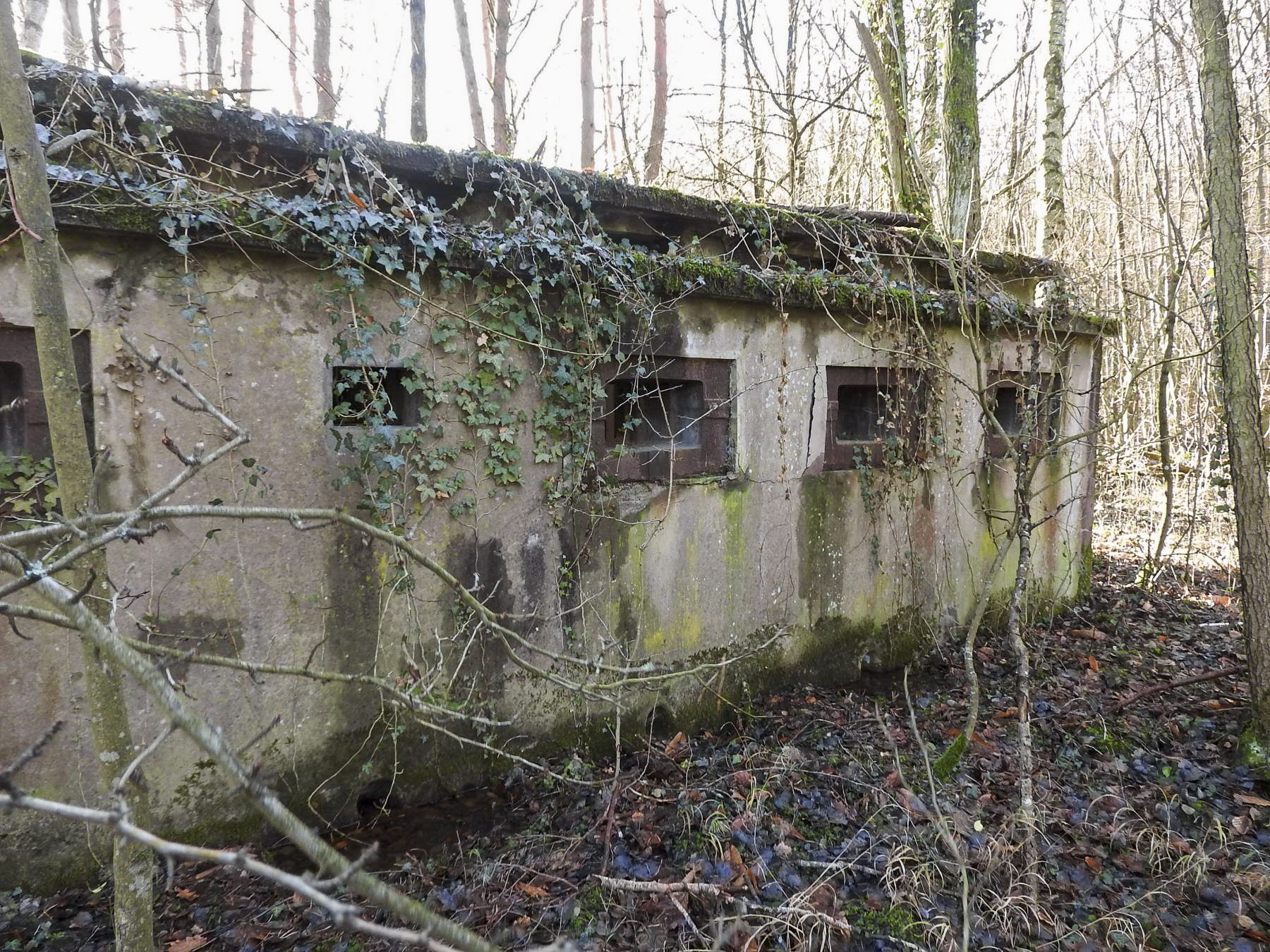 Ligne Maginot - DRACHENBRONN - (Stand de tir) - La casemate d'instruction pour les armes de forteresse - STENGER Mathieu