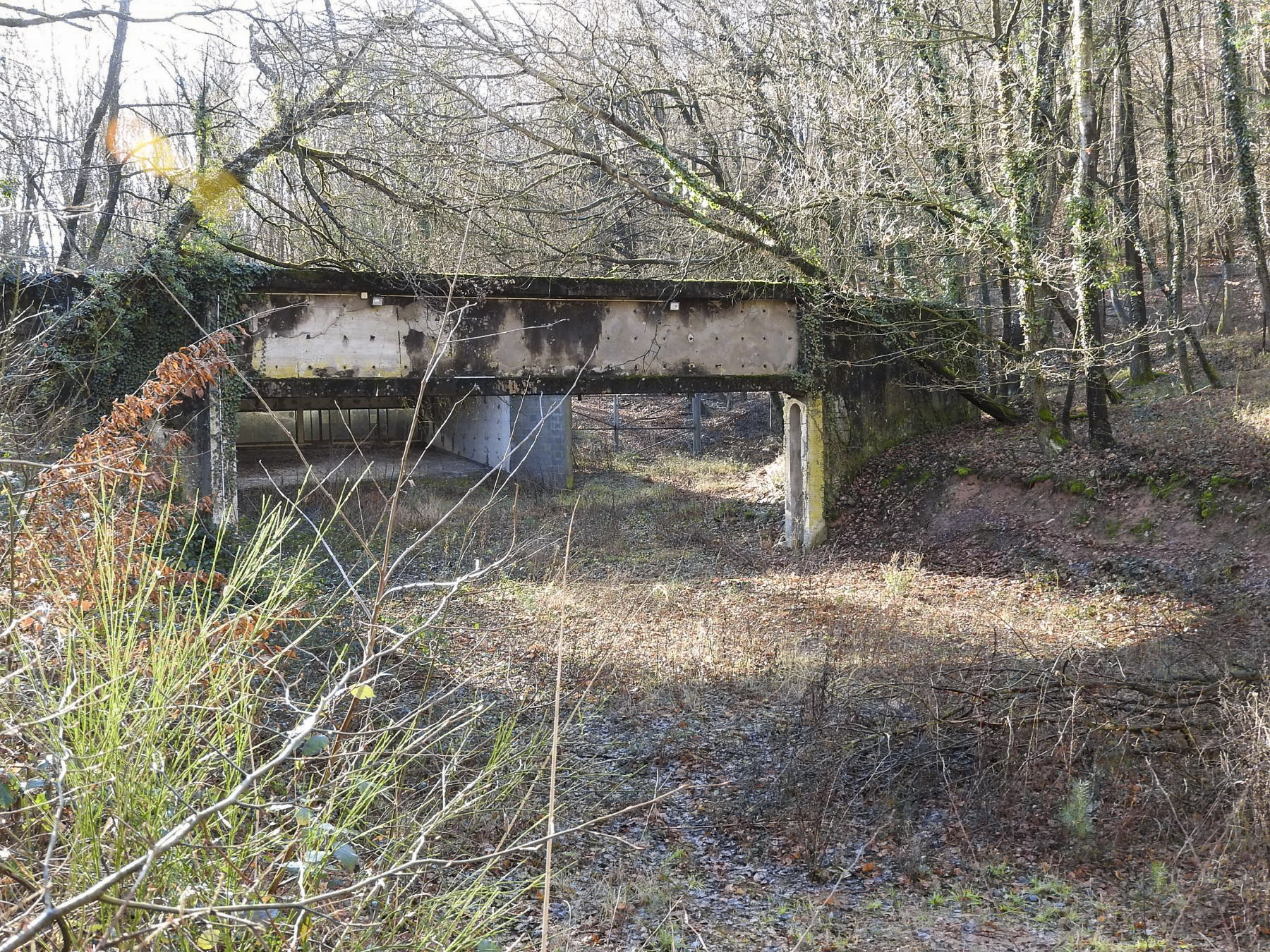 Ligne Maginot - DRACHENBRONN - (Stand de tir) - Le stand de tir modernisé pour la BA 901  - STENGER Mathieu