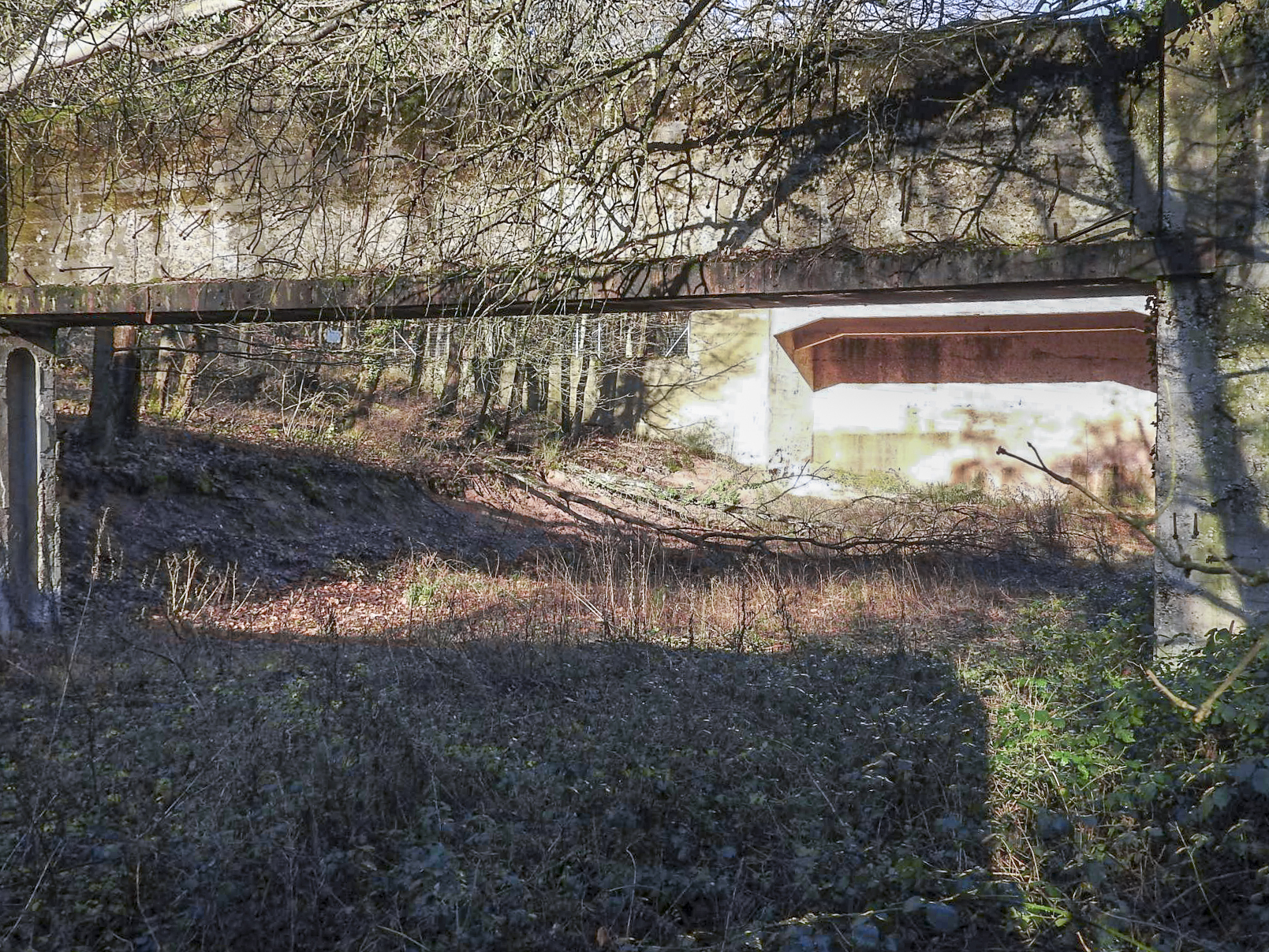 Ligne Maginot - DRACHENBRONN - (Stand de tir) - Le stand en 2019 - STENGER Mathieu