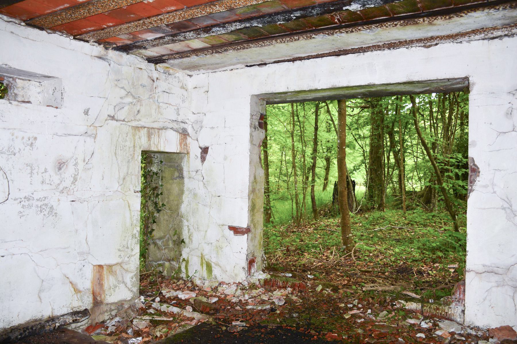 Ligne Maginot - GRUENDEL 4 - (Blockhaus pour canon) - L'entrée pour la pièce antichar - Pascal Lambert