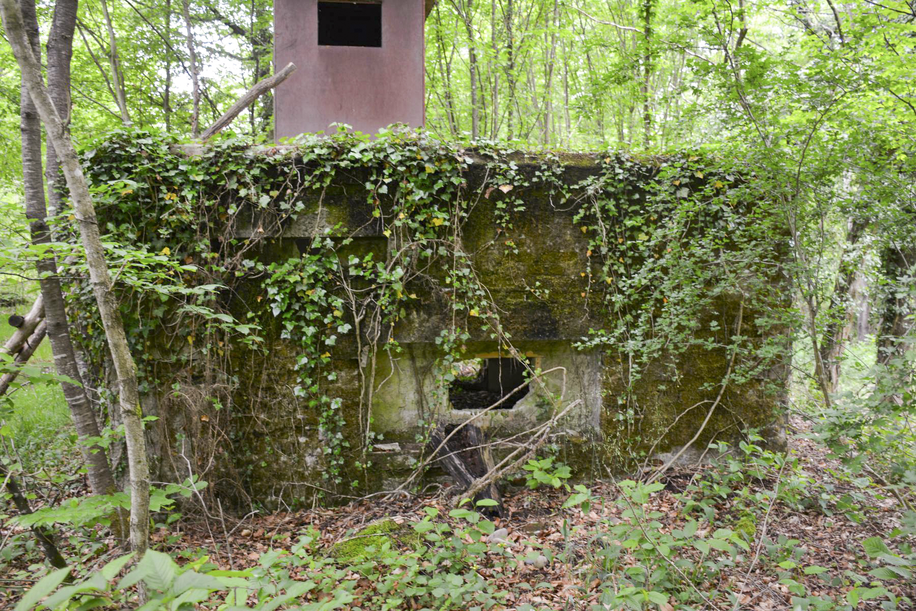 Ligne Maginot - GRUENDEL 4 - (Blockhaus pour canon) - Le créneau antichar et, au dessus à gauche, un second créneau d'usage non défini.