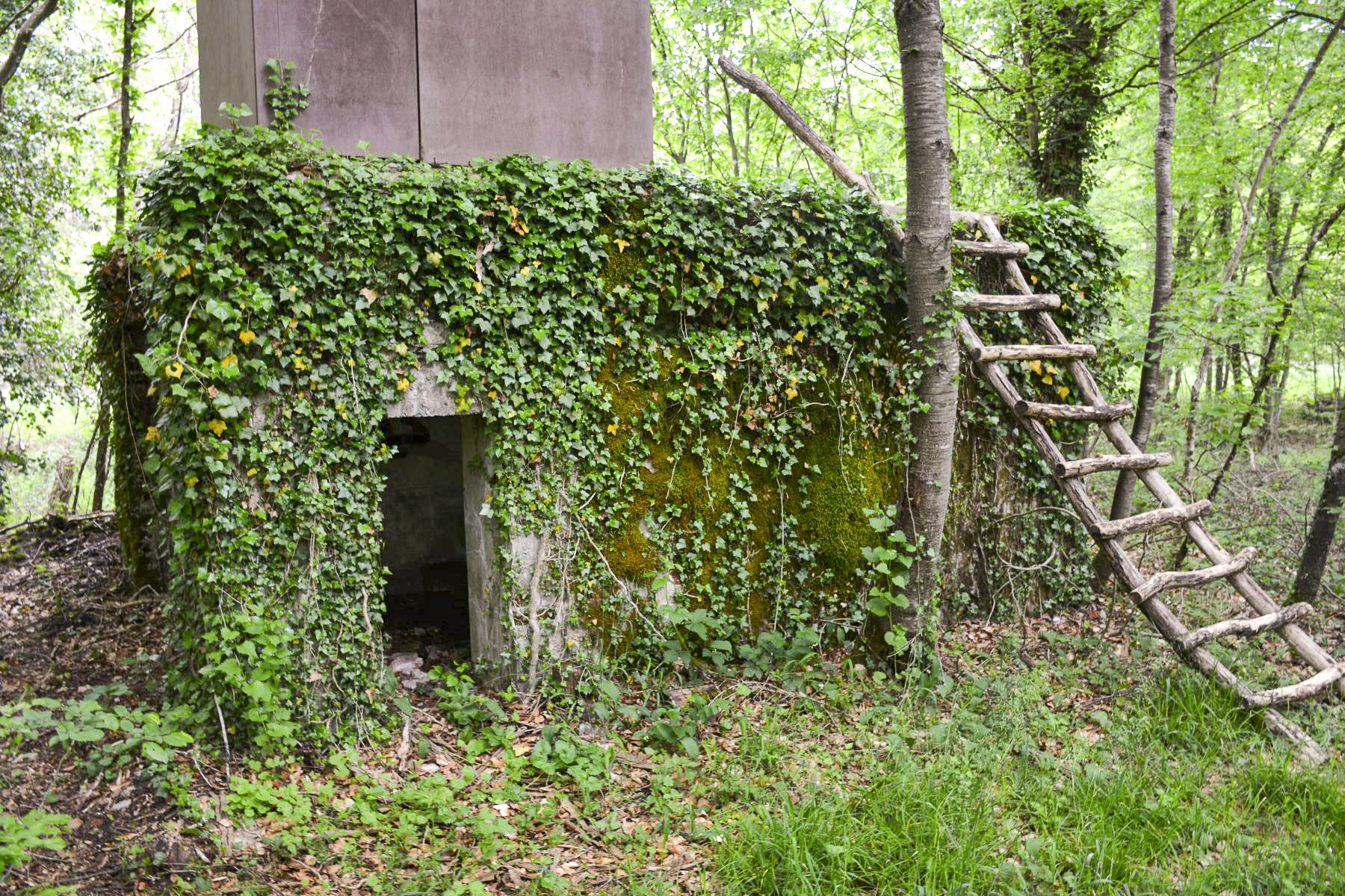 Ligne Maginot - GRUENDEL 4 - (Blockhaus pour canon) - L'entrée pour le personnel