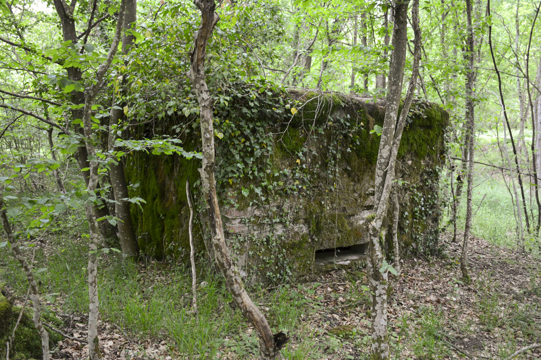 Ligne Maginot - GRUENDEL 3 - (Blockhaus pour arme infanterie) - Le créneau au ras du sol - Pascal Lambert