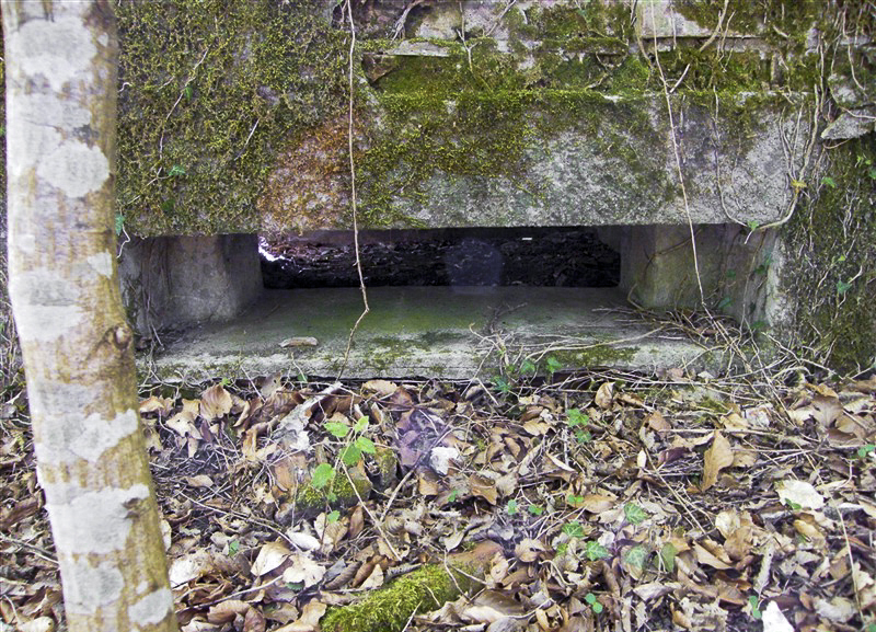 Ligne Maginot - GRUENDEL 3 - (Blockhaus pour arme infanterie) - 