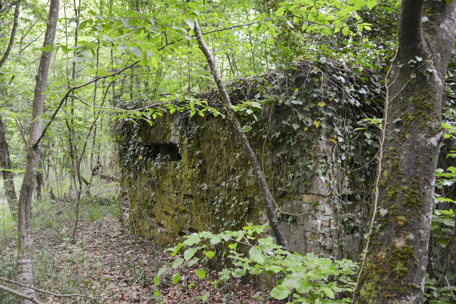 Ligne Maginot - GRUENDEL 3 - (Blockhaus pour arme infanterie) - Un second créneau latéral ou un orifice de ventilation ?