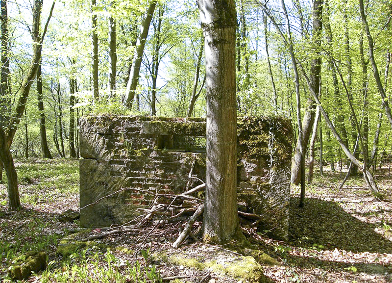 Ligne Maginot - GRUENDEL 1 - (Blockhaus pour arme infanterie) - 