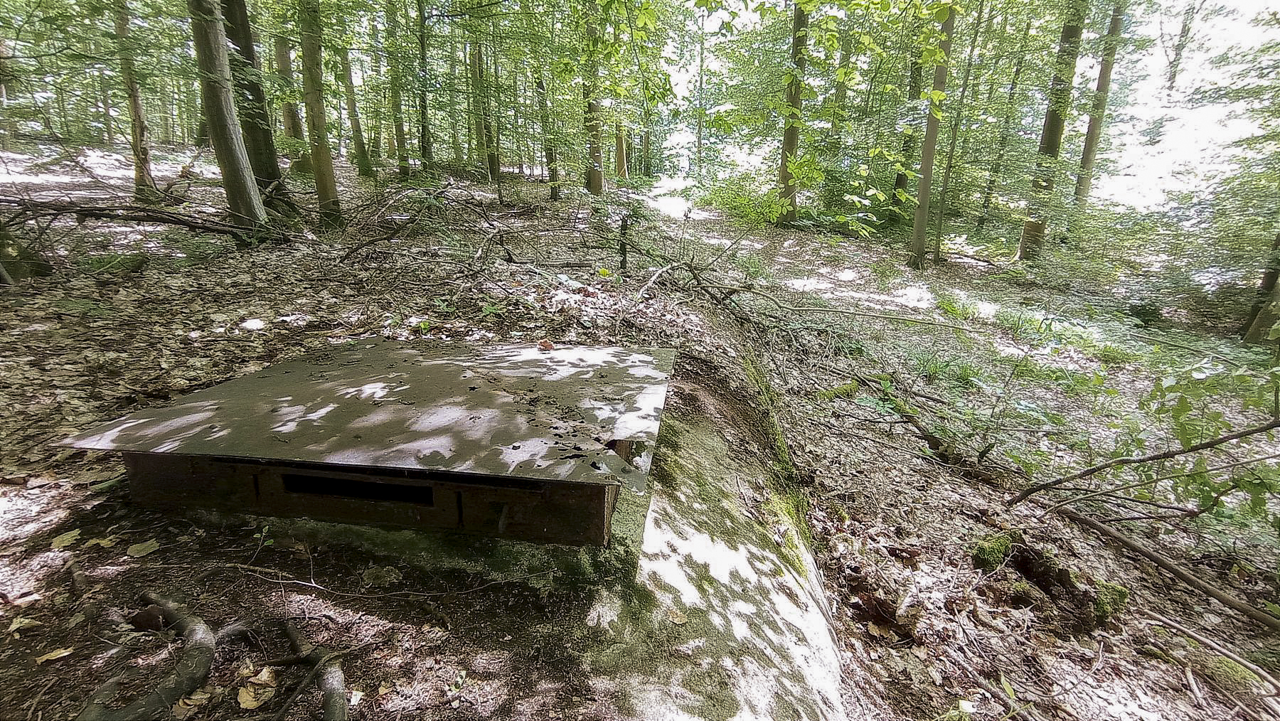 Ligne Maginot - H5 - (Chambre de coupure) - La chambre aux abords du chemin forestier 