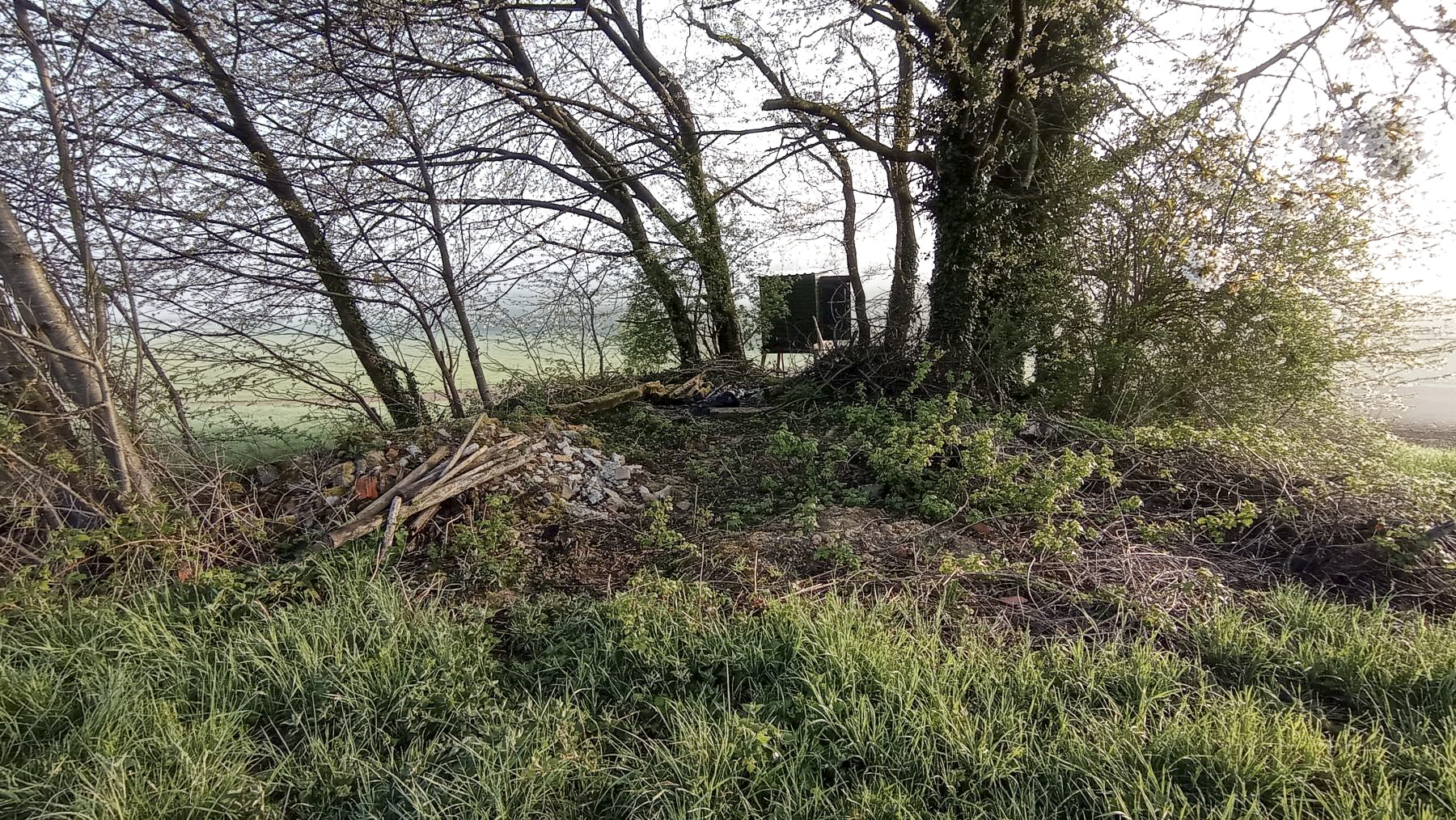 Ligne Maginot - H6 - (Chambre de coupure) - La chambre est dissimulée dans un bosquet 
