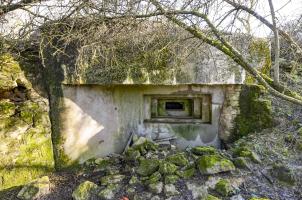 Ligne Maginot - DIEMERINGEN - (Blockhaus pour arme infanterie) - Créneau 