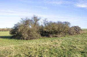Ligne Maginot - DIEMERINGEN - (Blockhaus pour arme infanterie) - Vue générale. 