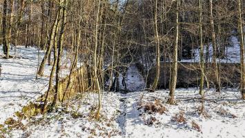 Ligne Maginot - HOCHWALD (fossé antichar du) (Obstacle antichar) - L'extrémité du fossé antichar au niveau de la casemate C1