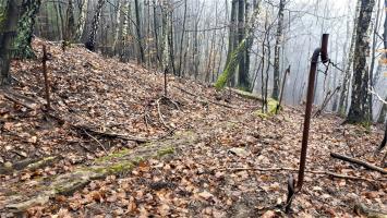 Ligne Maginot - HOCHWALD (FOSSé ANTICHAR DU) - (Obstacle antichar) - La cunette d'évacuation des eaux de pluie à l'extrémité du fossé de la casemate C5
