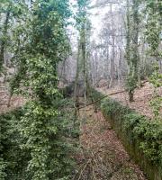 Ligne Maginot - HOCHWALD (FOSSé ANTICHAR DU) - (Obstacle antichar) - Le fossé entre la casemate C9 et C8