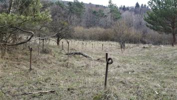 Ligne Maginot - HOCHWALD - (Ouvrage d'artillerie) - Réseau barbelés de l'ouvrage ouest