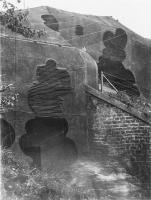 Ligne Maginot - HOCHWALD C6 - (Casemate d'infanterie - Double) - Le camouflage terminé
Détail