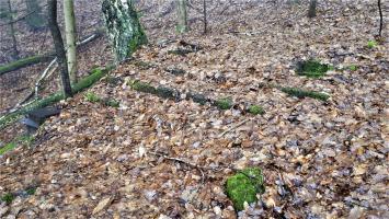 Ligne Maginot - HOCHWALD C7 - (Casemate d'infanterie) - Sur la dalle de la casemate, les fondations d'installations d'après guerre
