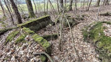 Ligne Maginot - HOCHWALD OUEST 4 - (Cuve pour arme d'infanterie) - 
