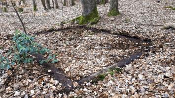 Ligne Maginot - HOCHWALD OUEST 5 - (Cuve pour canon) - 