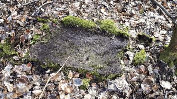 Ligne Maginot - HOCHWALD OUEST 7 - (Blockhaus pour arme infanterie) - Fragment de béton