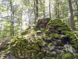 Ligne Maginot - FM39 - DIEBSKOPF 1 - (Blockhaus pour arme infanterie) - 