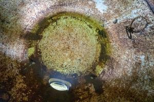 Ligne Maginot - WINDSTEIN - (Casemate d'infanterie - Double) - Dans une des cloches JM