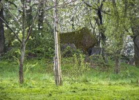 Ligne Maginot - PFAFFENBRONN 1 - (Blockhaus pour canon) - 