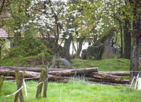 Ligne Maginot - PFAFFENBRONN 1 - (Blockhaus pour canon) - 