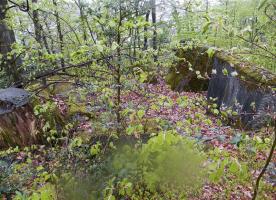 Ligne Maginot - PFAFFENBRONN 4 - (Blockhaus pour arme infanterie) - 