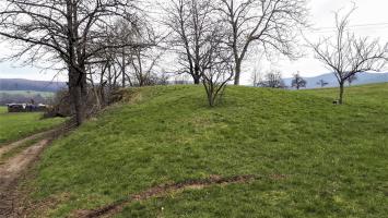 Ligne Maginot - PFAFFENBRONN 7 - (Blockhaus pour arme infanterie) - L'entrée remblayée