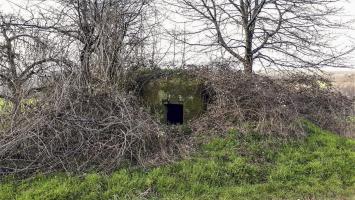 Ligne Maginot - PFAFFENBRONN 8 - (Blockhaus pour arme infanterie) - L'entrée