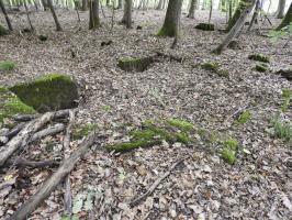 Ligne Maginot - ROTTENWALD 2 - (Cuve pour canon) - Les restes en partie remblayés de la cuve