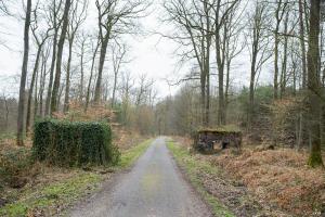 Ligne Maginot - ROUTE FORESTIERE DE LAUBACH 1 - (Blockhaus pour arme infanterie) - 