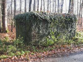 Ligne Maginot - ROUTE FORESTIERE DE LAUBACH 1 - (Blockhaus pour arme infanterie) - 